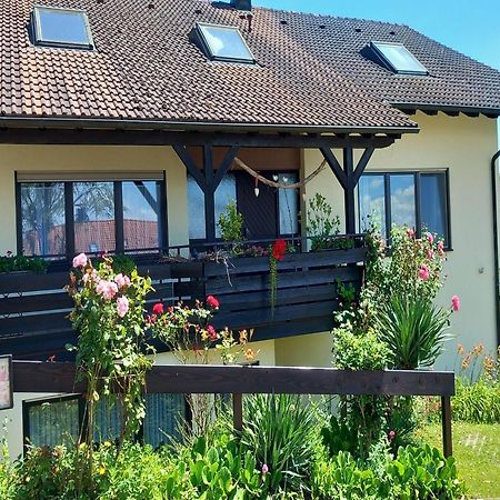 Gaestehaus Gaby Bad Bellingen Exterior foto